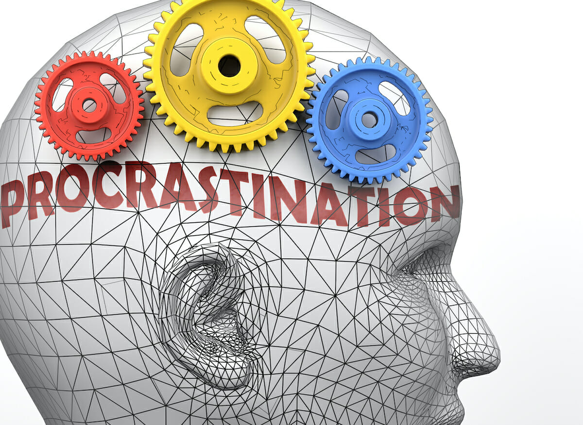 why-do-we-procrastinate-the-island-news-beaufort-sc