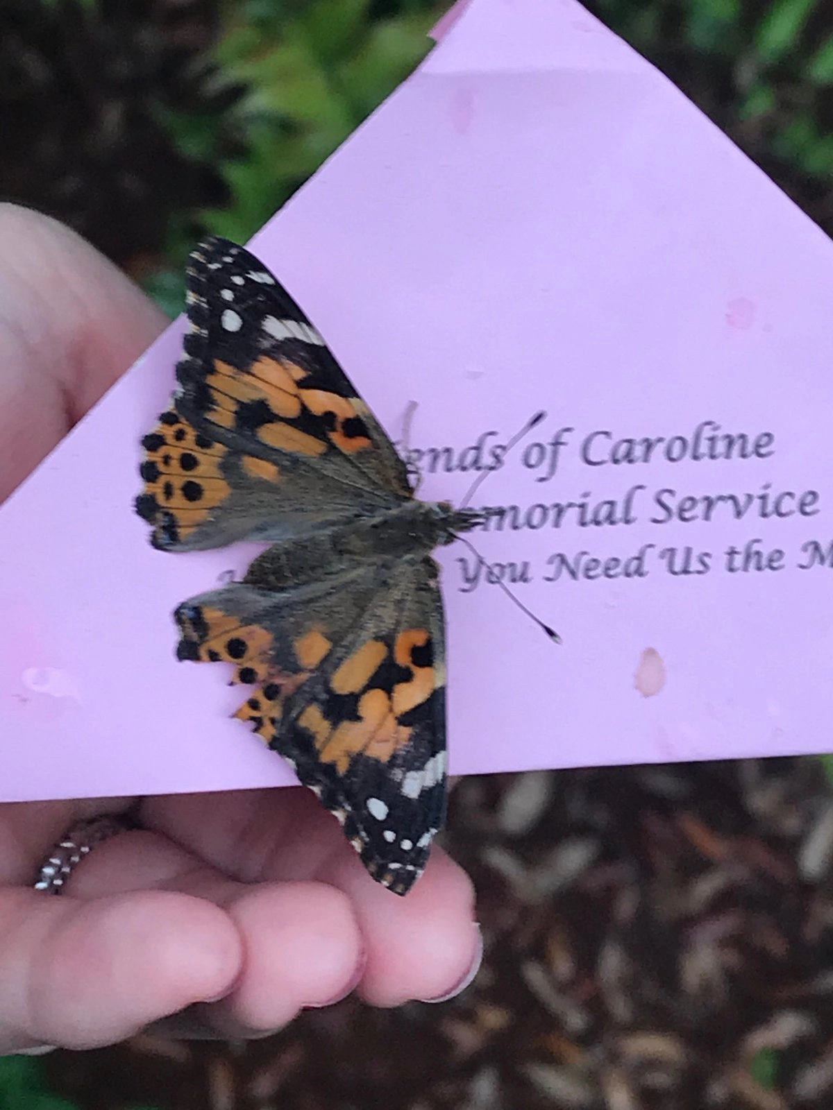 Butterfly Release and Memorial Service