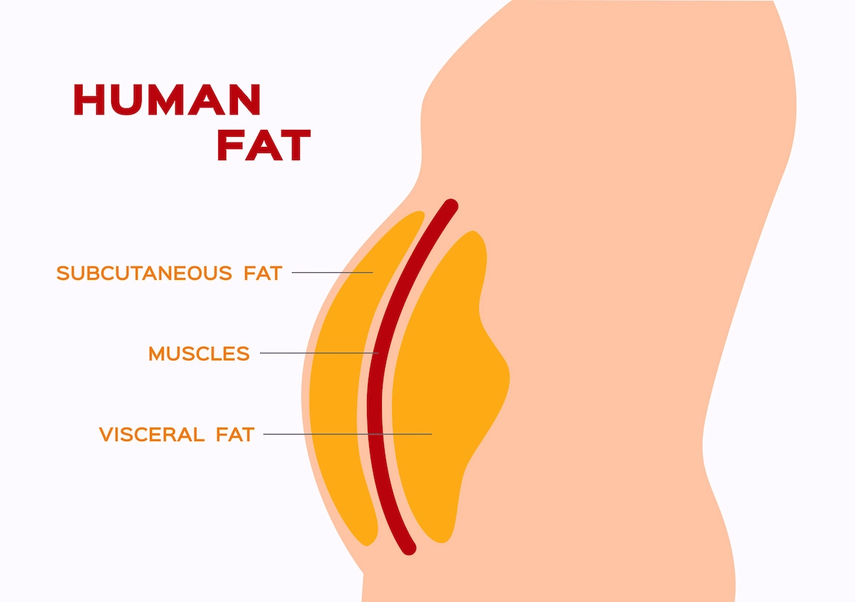 Battle Of Belly Fat The Island News Beaufort SC