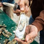 Help keep South Carolina's oyster reefs healthy by recycling the shell from your backyard oyster roast at a drop-off site near you. Kaitlyn Hackathorn/SCDNR