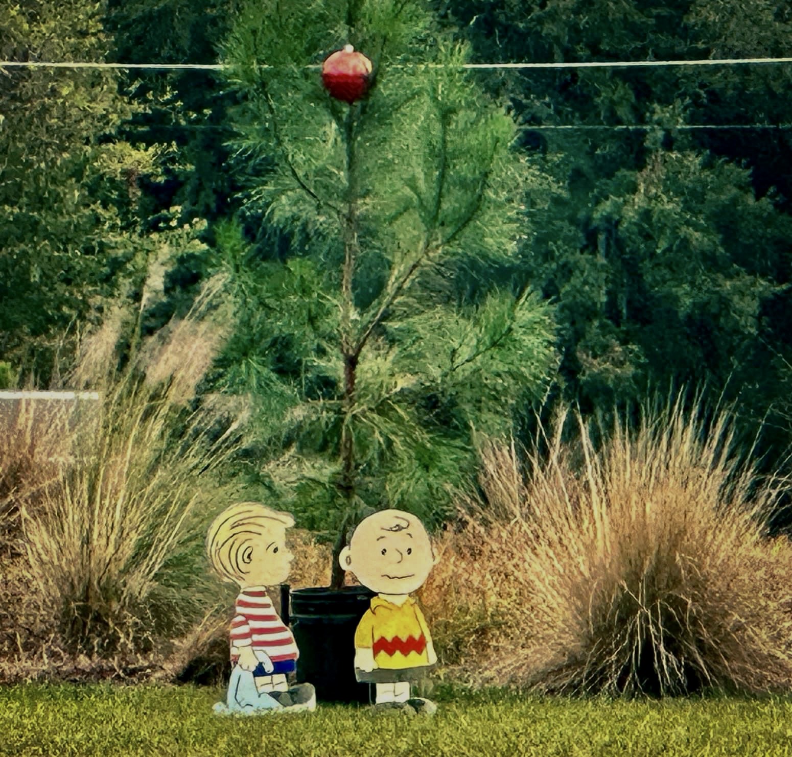 Charlie Brown and Linus decorations as seen on Friday, Nov. 24, 2023, in the roundabout on Sams Point Road on Lady’s Island. The holiday decorations were set up at some point between Thanksgiving Day and Friday morning. Amber Hewitt, For The Island News