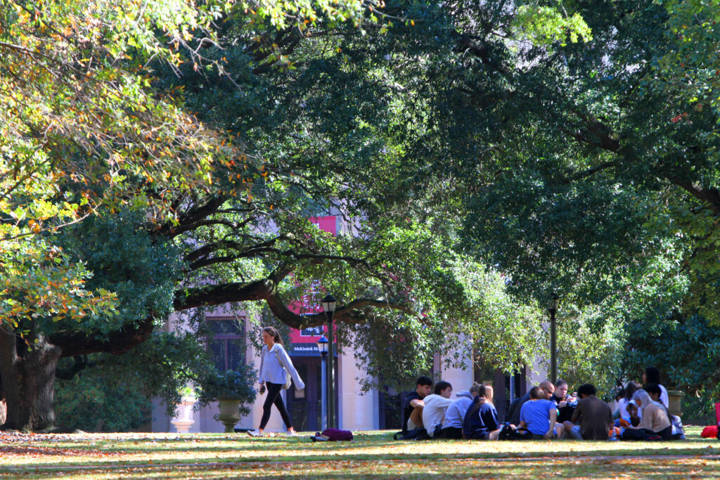 The University of South Carolina campus on Monday, Oct. 30, 2023, in Columbia. Mary Ann Chastain/Special to the S.C. Daily Gazette