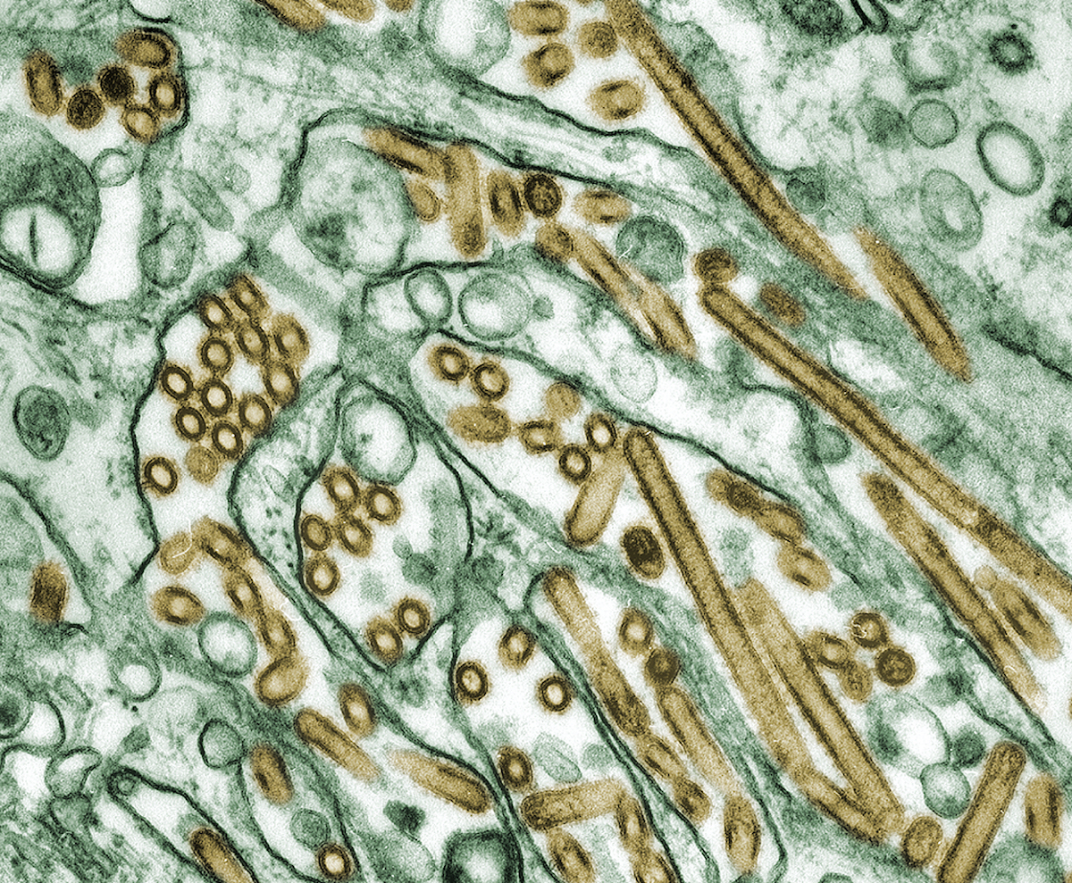 American medical research hangs in balance