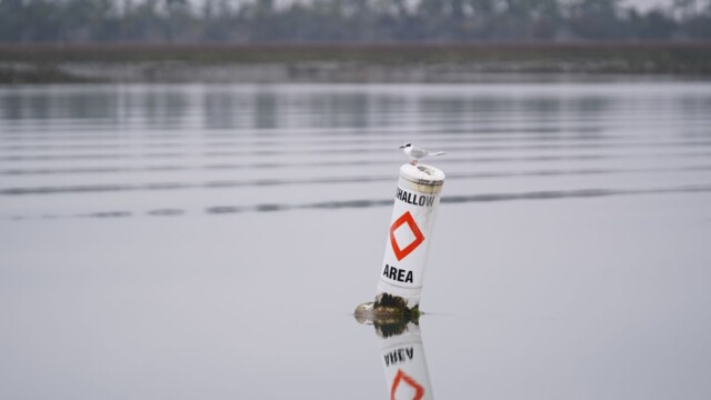 Purchased by the state of South Carolina in 2017, St. Phillips is now part of the state park system. Amber Hewitt/The Island News