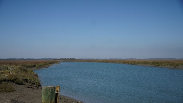 St. Phillips Island remains virtually as it was when it was settled by indigenous cultures thousands of years ago. Amber Hewitt/The Island News