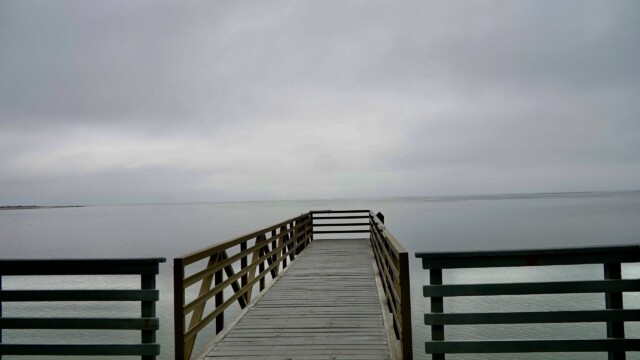 St. Phillips Island features 4,680 acres of unspoiled maritime forest and beaches, formerly owned by Ted Turner. Amber Hewitt/The Island News