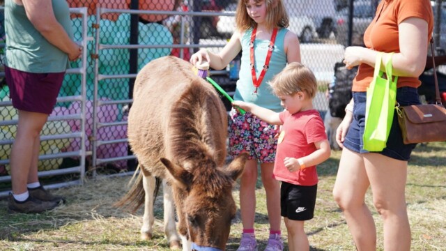 Beaufort’s Katherine Johnson, 9, and Eli Dean, 3, pet and brush a horse in the petting zoo at the Beaufort Academy Egg Drop on Sunday, March 22, 2026. Amber Hewitt/The Island News